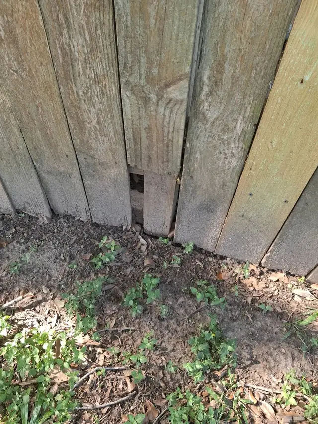 Patio & Outdoor - Seveces Star Handyman