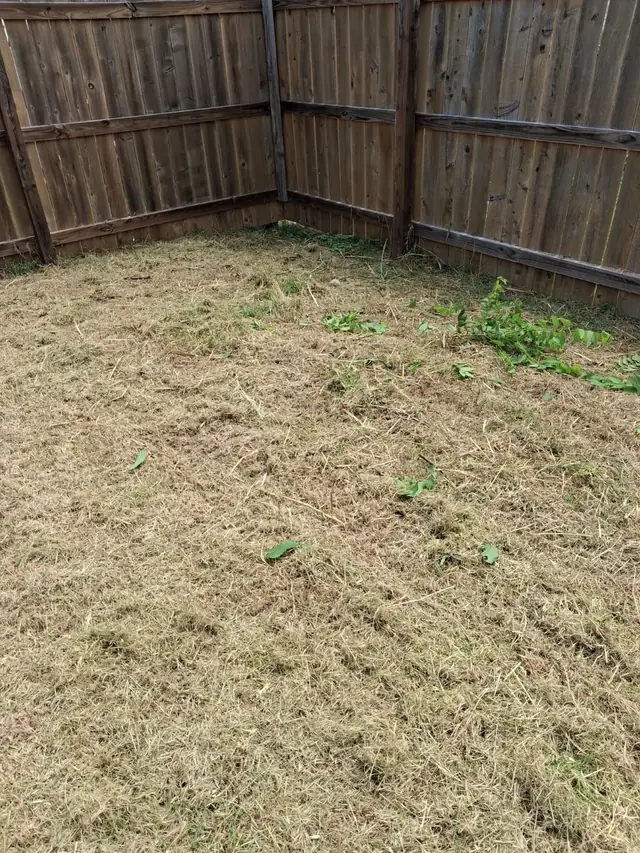 Patio & Outdoor - Seveces Star Handyman